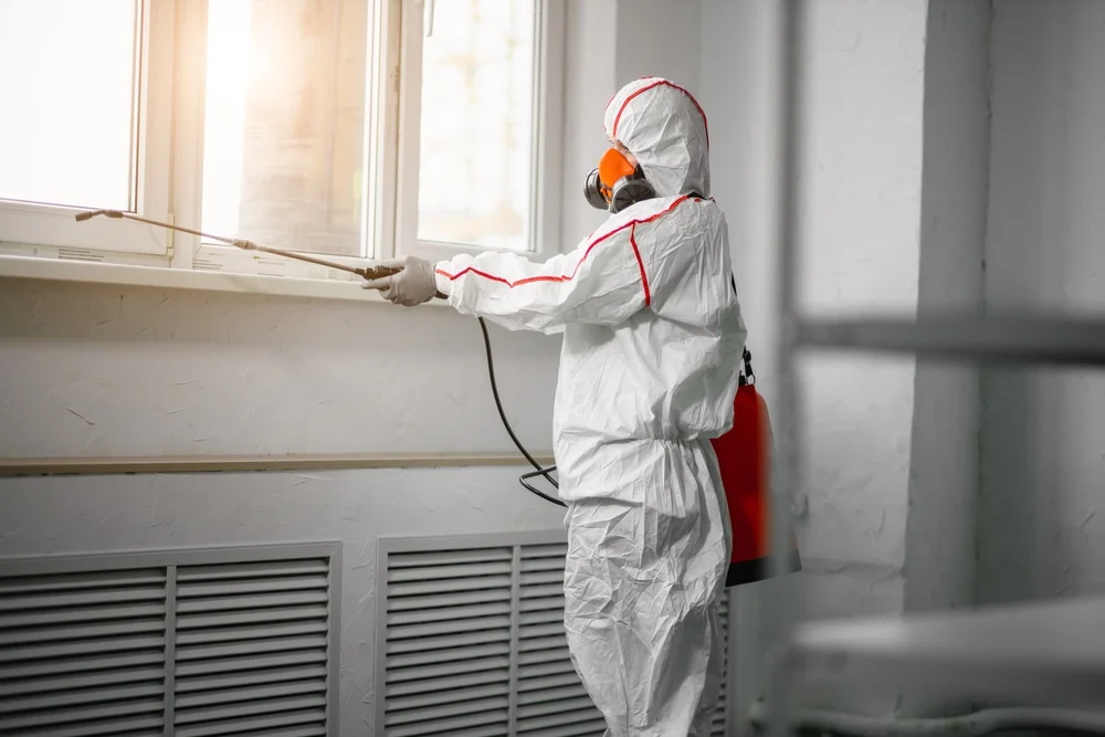 Professional mold remediation services in Leonardo, NJ